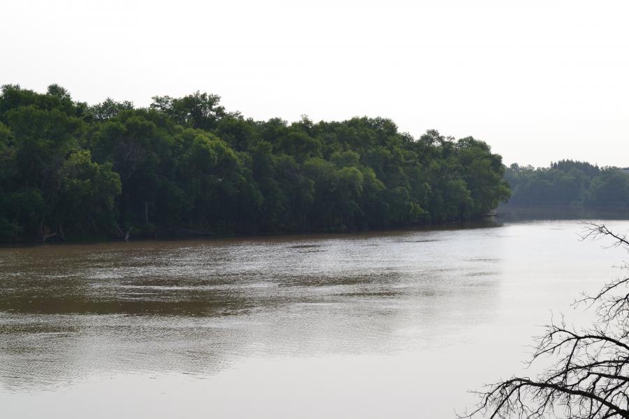 River bottom forest along the Red River adjacent to the Fort Garry Campus